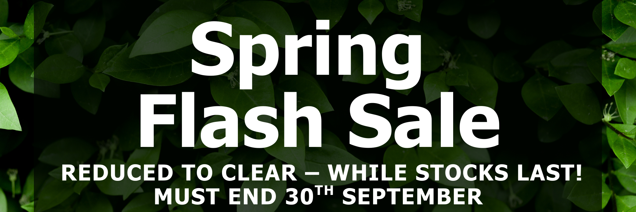 Spring Sales - Reduced To Clear!
