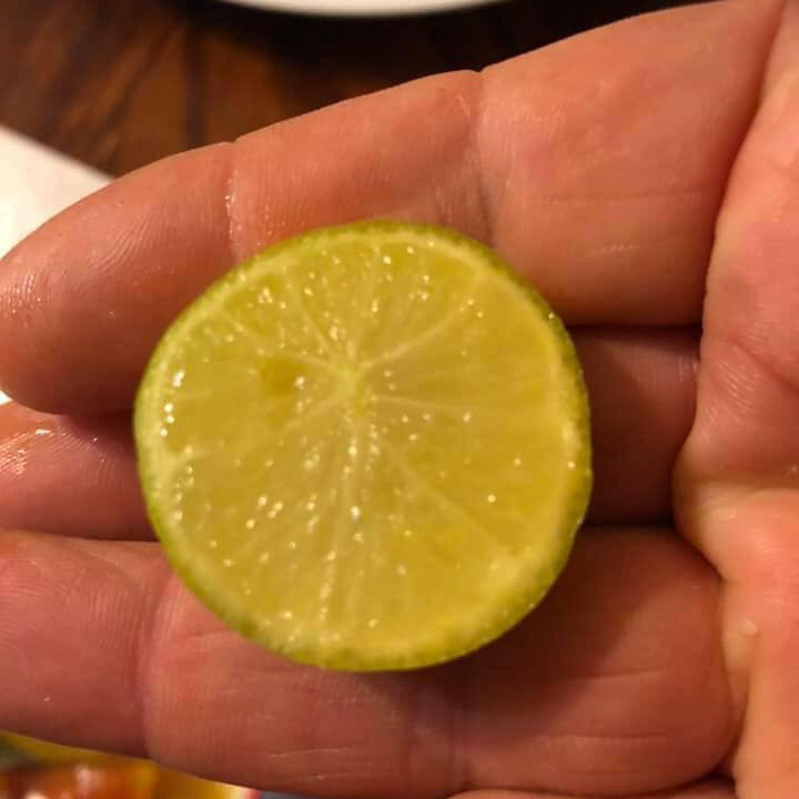 Citrus limetta Limu Shirin 1