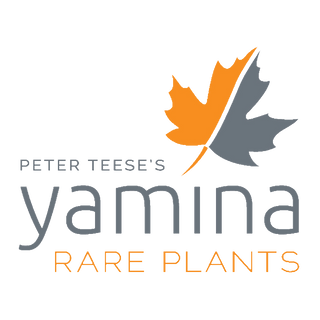 Yamina Rare Plants