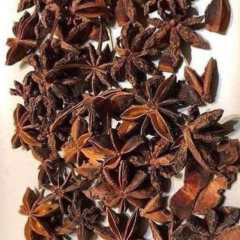 Illicium verum Chinese Viernamese Star Anise 1