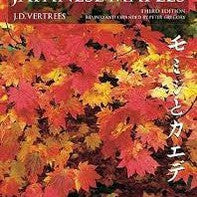 Japanese Maples By Vert
